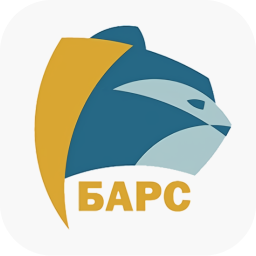 Барс (Иваново)