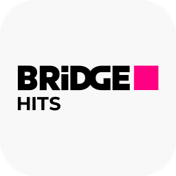 BRIDGE HITS