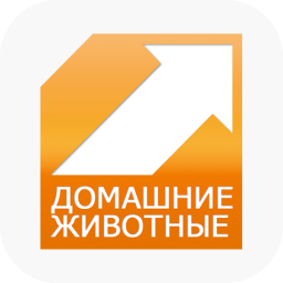 Домашние животные