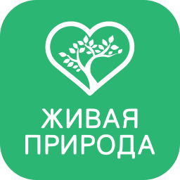 Живая природа
